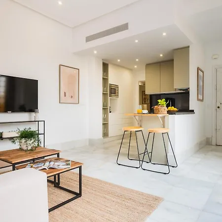 Apartamento Espectacular ático Con Terraza - Centro Catedral Sevilla