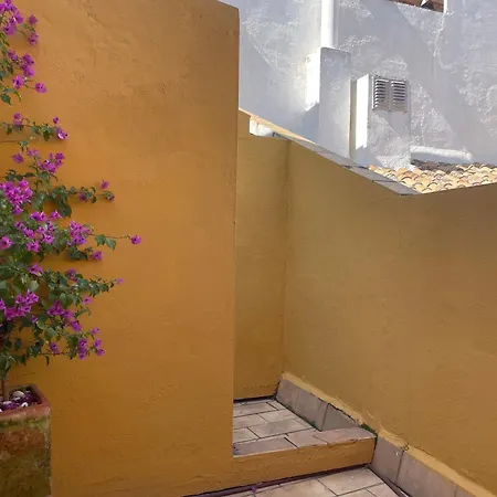 Espectacular Atico Con Terraza - Centro Catedral * إشبيلية